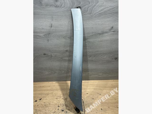 Молдинг (накладка кузовная)